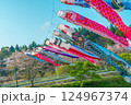 瀬又の桜並木と鯉のぼりの風景 瀬又の桜並木と鯉のぼりの風景 124967374