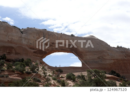 アメリカアーチーズナショナルパーク　Arches National Park 124967520