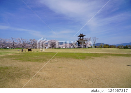 奈良の弥生遺跡　唐古・鍵遺跡の楼閣と満開の桜並木 124967817
