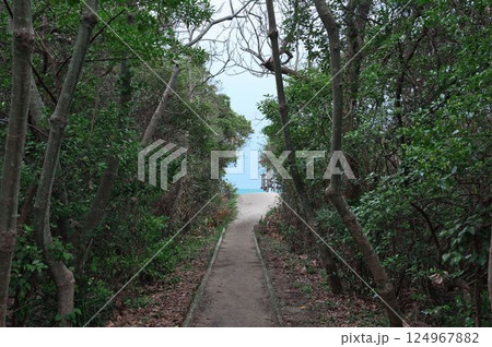 大岐海岸へ続く道 大岐海岸へ続く道 124967882