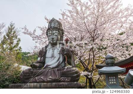 壺阪寺のめがね供養観音と桜 壺阪寺のめがね供養観音と桜 124968380