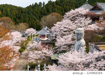 壺阪寺の大伽藍と大仏石像と桜 壺阪寺の大伽藍と大仏石像と桜 124968384