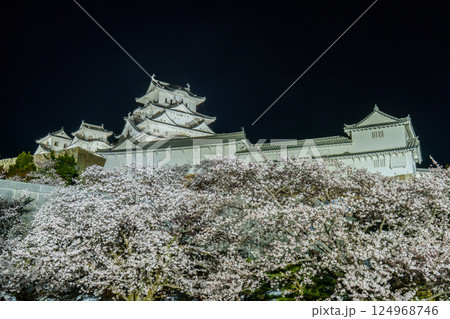 姫路城ライトアップ 姫路城ライトアップ 124968746