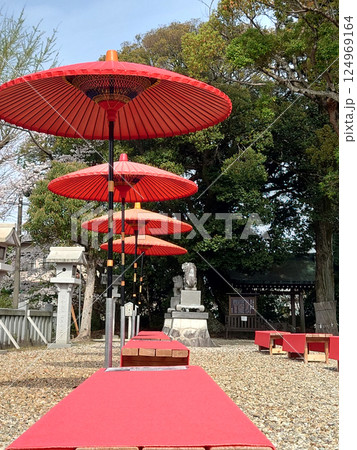 Red parasol at restshop 赤い和傘のあるお休み処・甘味処(春の歌会・観桜会) 124969164