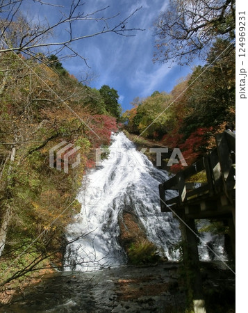 奥日光の湯滝（栃木県日光市） 124969231