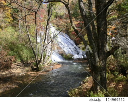 奥日光の湯滝（栃木県日光市） 124969232