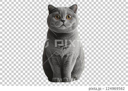 猫(png) 124969562