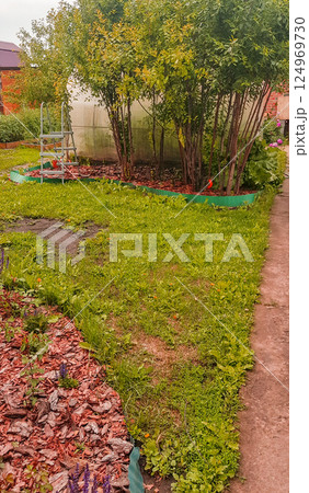 Vertical view of a country garden with lawn and sawdust to protect and drain the flower bed 124969730