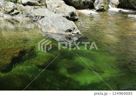 みたらい渓谷　新緑　奈良県 124969885