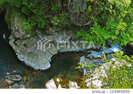 みたらい渓谷　新緑　奈良県 124969899
