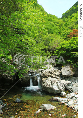 みたらい渓谷 新緑 奈良県 みたらい渓谷 新緑 奈良県 124969915