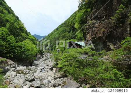 みたらい渓谷 新緑 奈良県 みたらい渓谷 新緑 奈良県 124969916