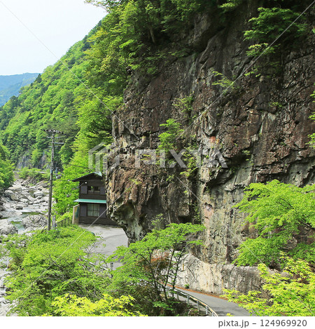 みたらい渓谷 新緑 奈良県 みたらい渓谷 新緑 奈良県 124969920