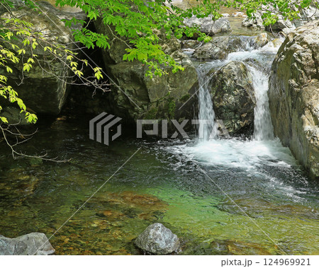 みたらい渓谷 新緑 奈良県 みたらい渓谷 新緑 奈良県 124969921