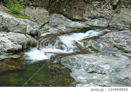 みたらい渓谷 新緑 奈良県 みたらい渓谷 新緑 奈良県 124969938