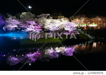 桜の季節の錦帯橋 桜の季節の錦帯橋 124969976