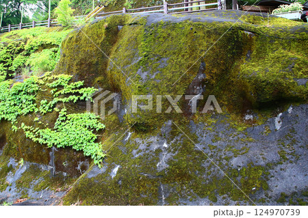高千穂峡 新緑 九州 高千穂峡 新緑 九州 124970739