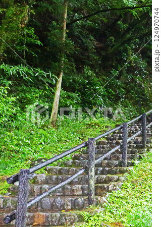 高千穂峡　新緑　九州 124970744