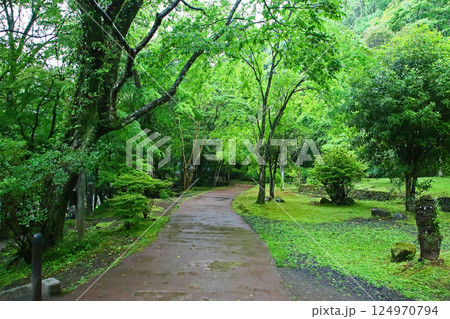 高千穂峡　新緑　九州 124970794