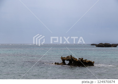 島の上から見た海と城 島の上から見た海と城 124970874