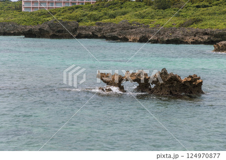 島の上から見た海と城 島の上から見た海と城 124970877