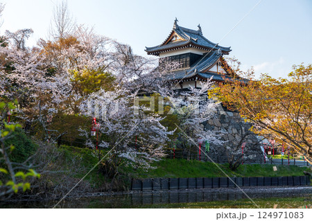 郡山城址の満開の桜 124971083