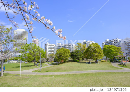 浦安市 桜が満開の「明海の丘公園」 浦安市 桜が満開の「明海の丘公園」 124971393