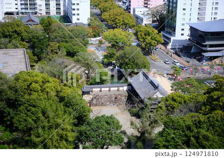 高知城から見た三の丸 高知城から見た三の丸 124971810