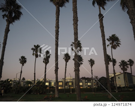 カリフォルニア 西海岸 ビーチ サンタ・モニカ(Santa Monica) カリフォルニア 西海岸 ビーチ サンタ・モニカ(Santa Monica) 124971874