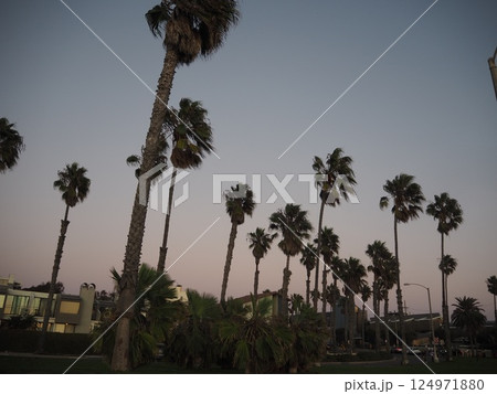 カリフォルニア 西海岸 ビーチ サンタ・モニカ(Santa Monica) カリフォルニア 西海岸 ビーチ サンタ・モニカ(Santa Monica) 124971880