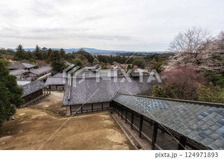 Nara Panoramic View Nara Panoramic View 124971893