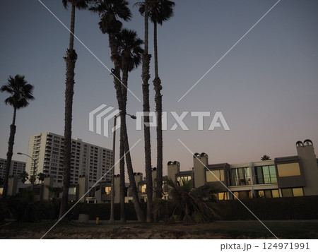 カリフォルニア 西海岸 ビーチ サンタ・モニカ(Santa Monica) カリフォルニア 西海岸 ビーチ サンタ・モニカ(Santa Monica) 124971991