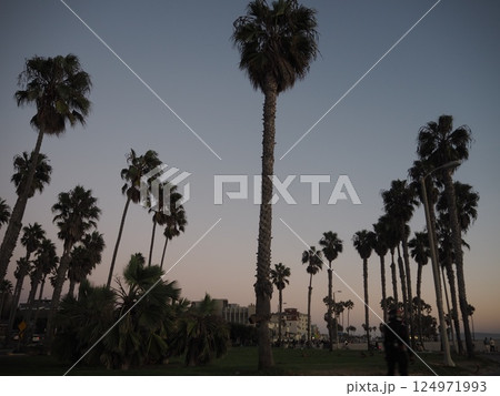 カリフォルニア 西海岸 ビーチ サンタ・モニカ(Santa Monica) カリフォルニア 西海岸 ビーチ サンタ・モニカ(Santa Monica) 124971993