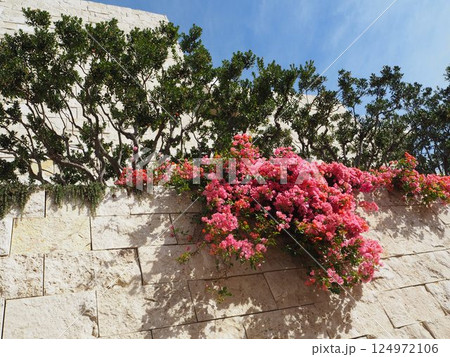 J・ポール・ゲティ美術館　(J. Paul Getty Museum, Getty Center)  124972106