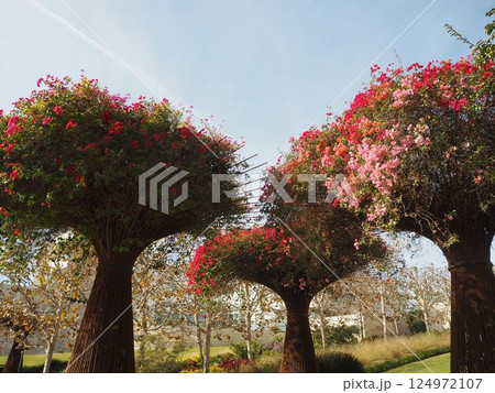 J・ポール・ゲティ美術館　(J. Paul Getty Museum, Getty Center)  124972107