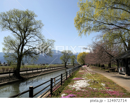 長野県安曇野市_拾ヶ堰じてんしゃひろば1_2024年4月 124972714