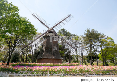 愛知県名古屋市北区_名城公園風車1_2024年4月 愛知県名古屋市北区_名城公園風車1_2024年4月 124972715