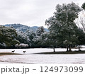 雪景色の奈良公園飛火野、鹿たちと雪 124973099