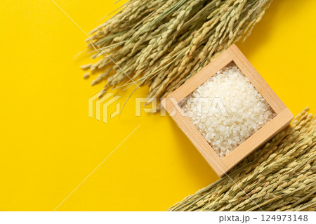 白米 白米 124973148