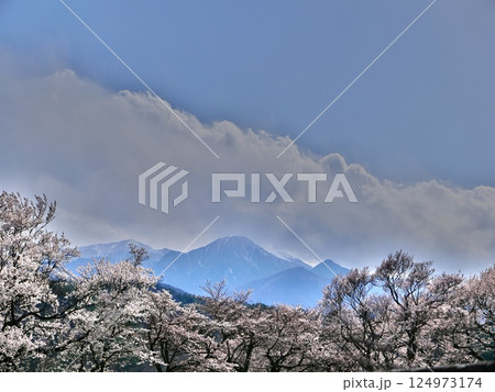 青空と残雪のある山と桜の風景 124973174