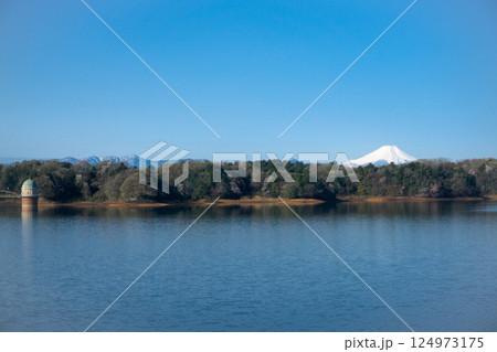 桜咲くころの狭山公園 堰堤から見る取水塔と富士山 桜咲くころの狭山公園 堰堤から見る取水塔と富士山 124973175