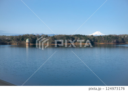 桜咲くころの狭山公園 堰堤から見る取水塔と富士山 桜咲くころの狭山公園 堰堤から見る取水塔と富士山 124973176