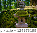 苔むす灯篭 124973199