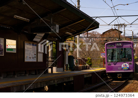 桜満開の駅に停車する電車 桜満開の駅に停車する電車 124973364