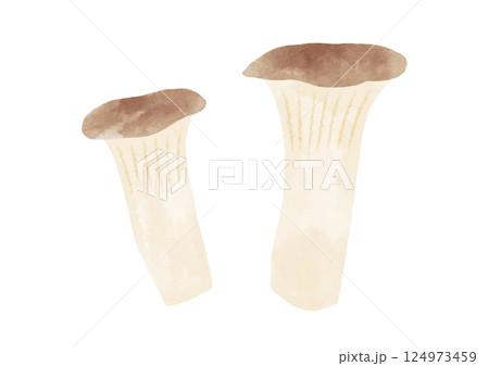 水彩風のエリンギのイラスト 124973459