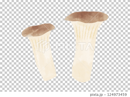 水彩風のエリンギのイラスト 124973459