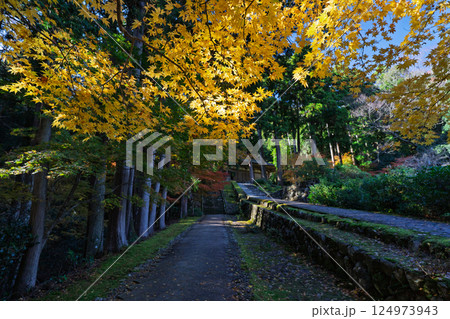 福井県若狭小浜市の紅葉まっさかりの明通寺を撮影 124973943