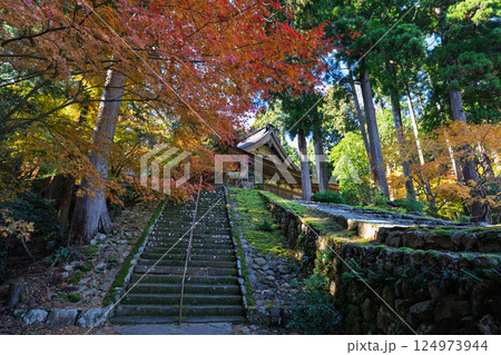 福井県若狭小浜市の紅葉まっさかりの明通寺を撮影 124973944