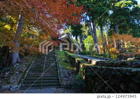 福井県若狭小浜市の紅葉まっさかりの明通寺を撮影 124973945