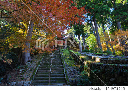 福井県若狭小浜市の紅葉まっさかりの明通寺を撮影 124973946